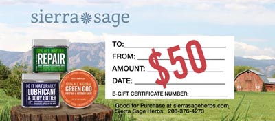 $50 E-Gift Certificate